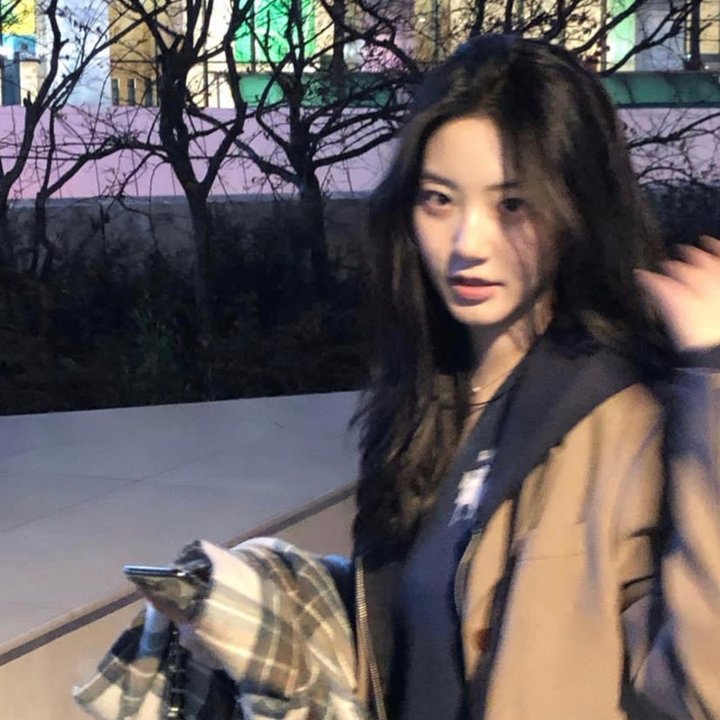 我的女友居然是猫